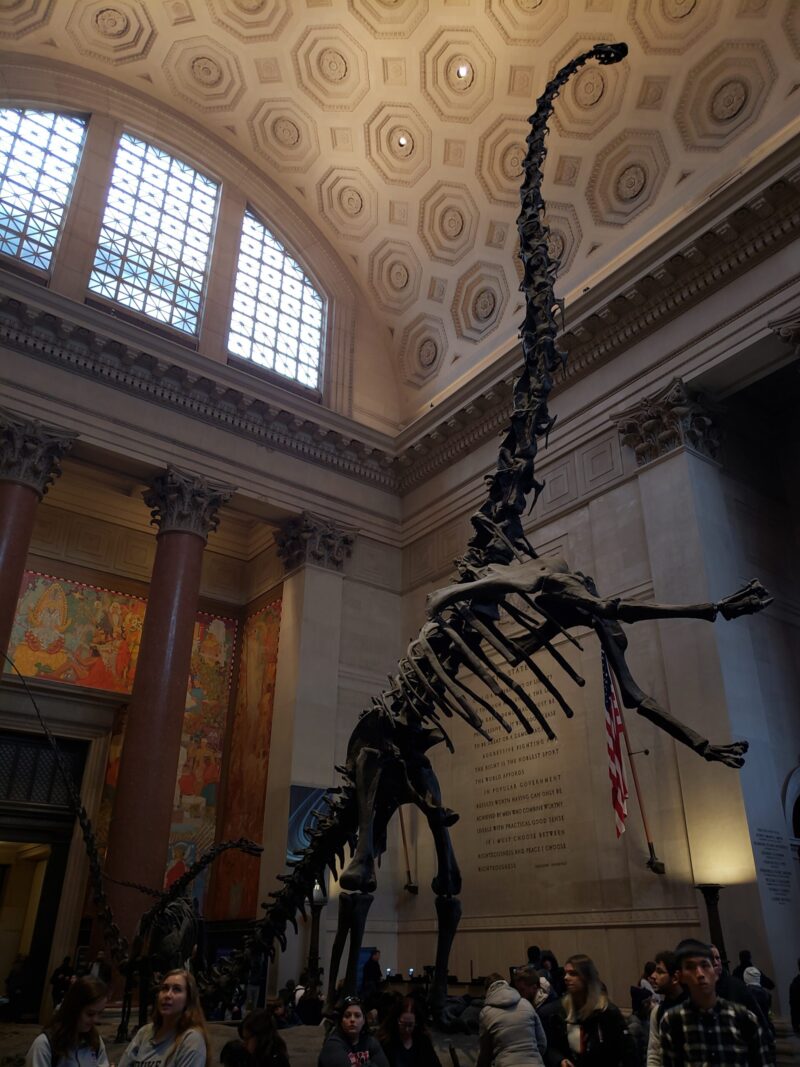Dinossauro no Museu de História Natural em Nova York