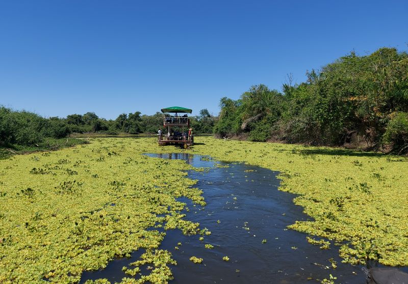 O que fazer em Bonito MS: Passeio de chalana na Fazenda San Francisco